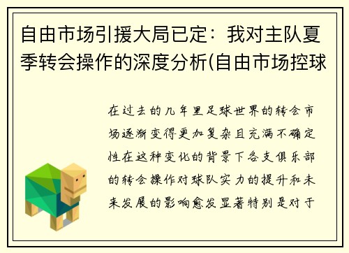 自由市场引援大局已定：我对主队夏季转会操作的深度分析(自由市场控球后卫)