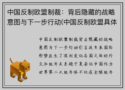 中国反制欧盟制裁：背后隐藏的战略意图与下一步行动(中国反制欧盟具体措施)