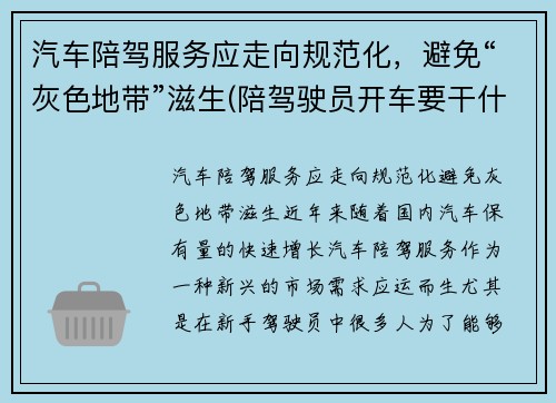 汽车陪驾服务应走向规范化，避免“灰色地带”滋生(陪驾驶员开车要干什么)