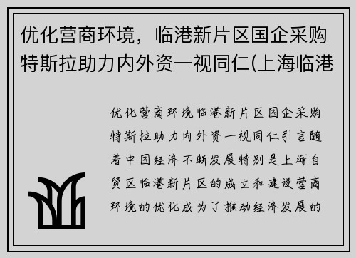 优化营商环境，临港新片区国企采购特斯拉助力内外资一视同仁(上海临港特斯拉配套公司)